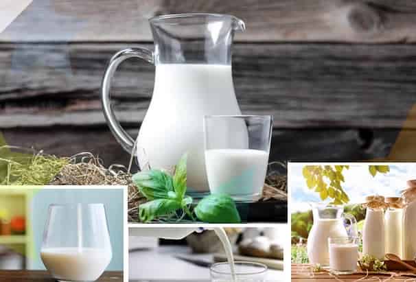 La leche un valioso alimento