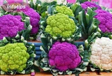 Porque algunos vegetales dan flores y otros no